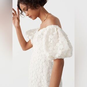 & Other Stories Balloon Sleeve Lace Dress